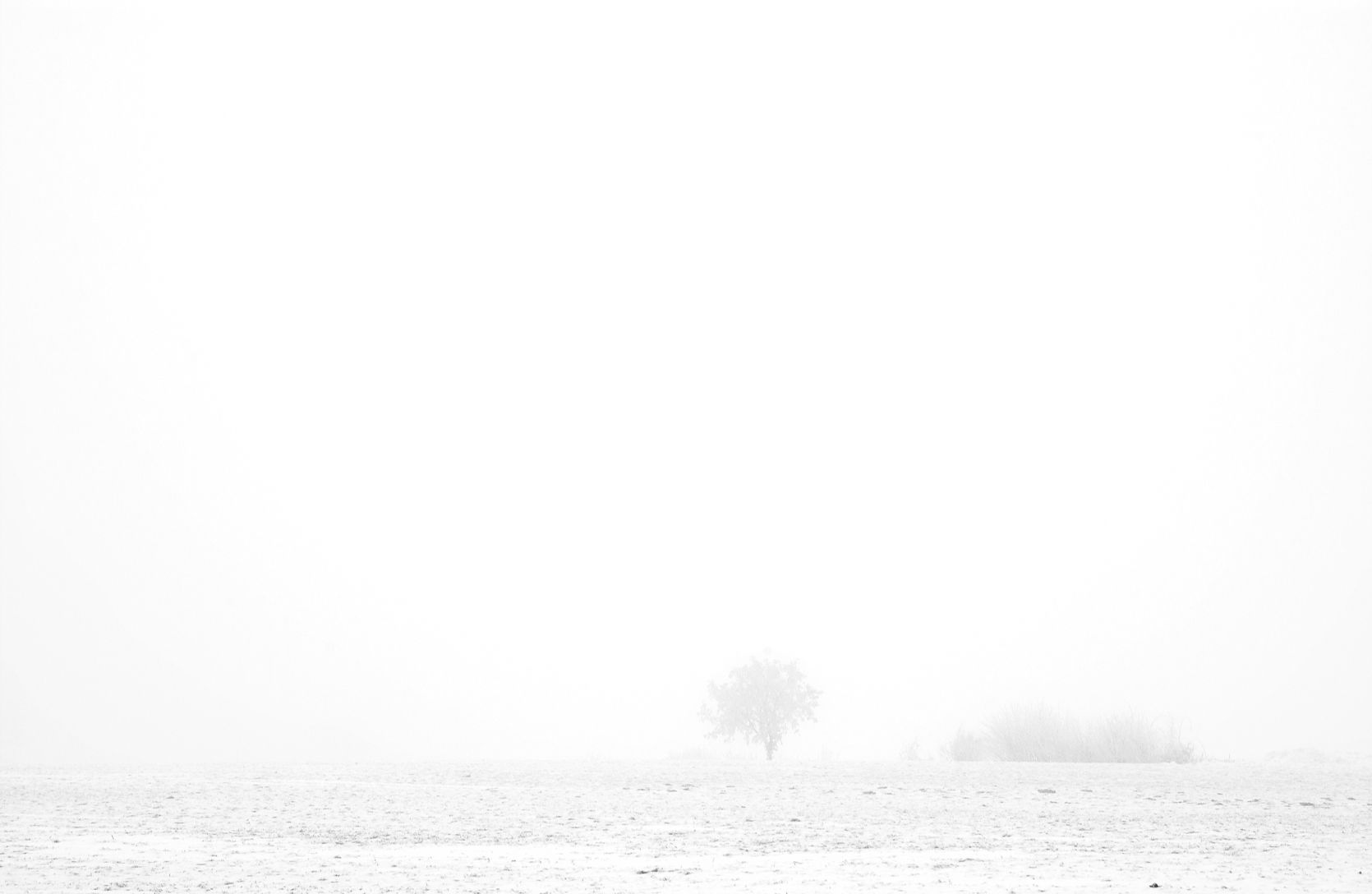 The picture that you took with your camera is the imagination you want to create with reality