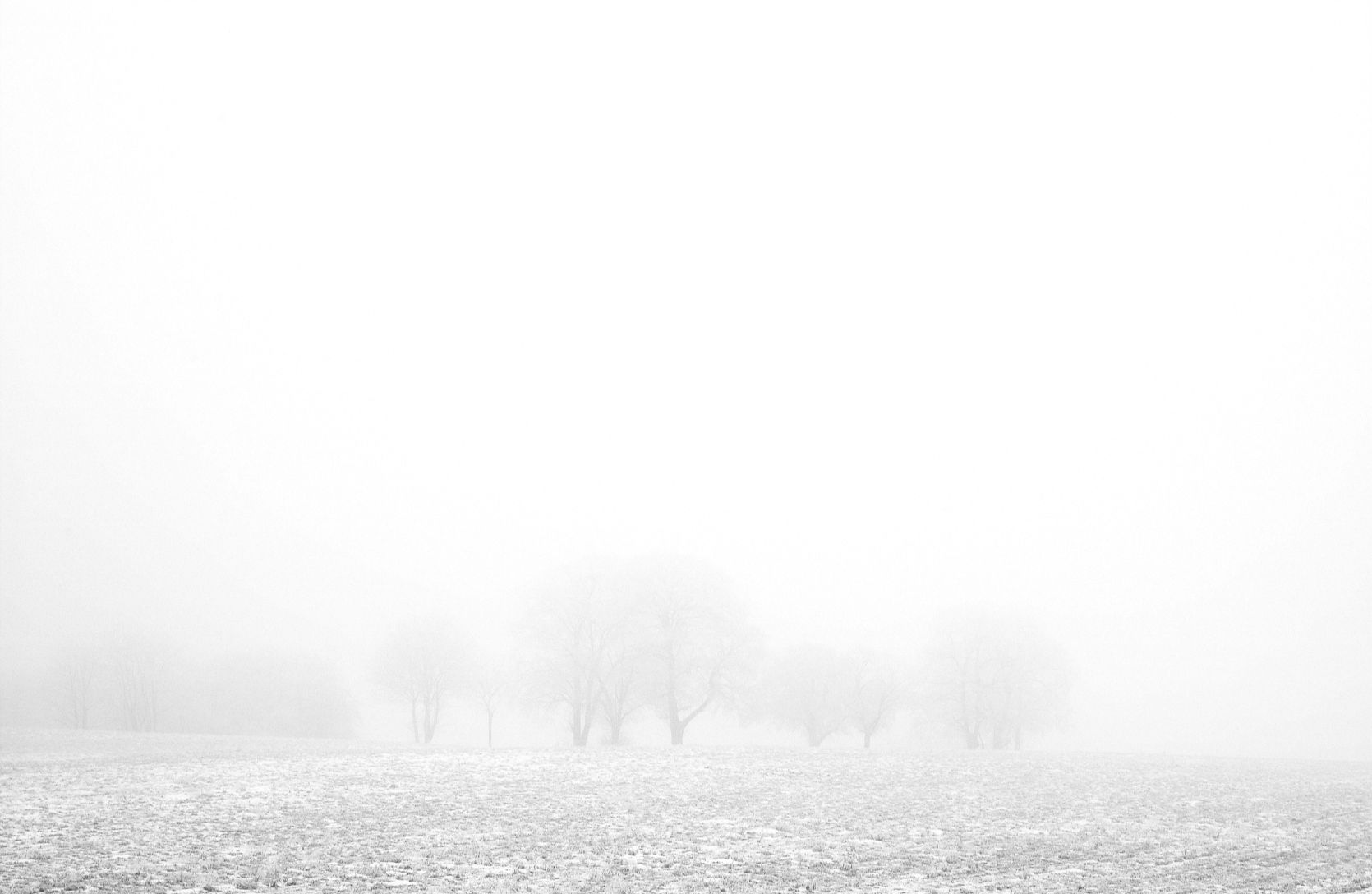 The picture that you took with your camera is the imagination you want to create with reality