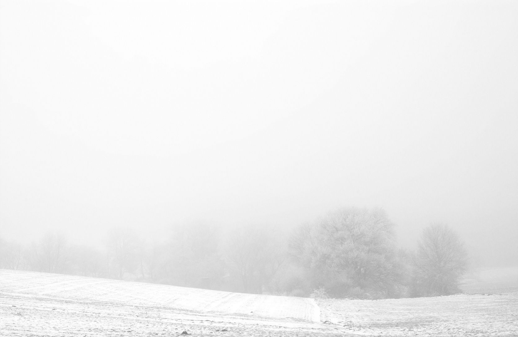 The picture that you took with your camera is the imagination you want to create with reality