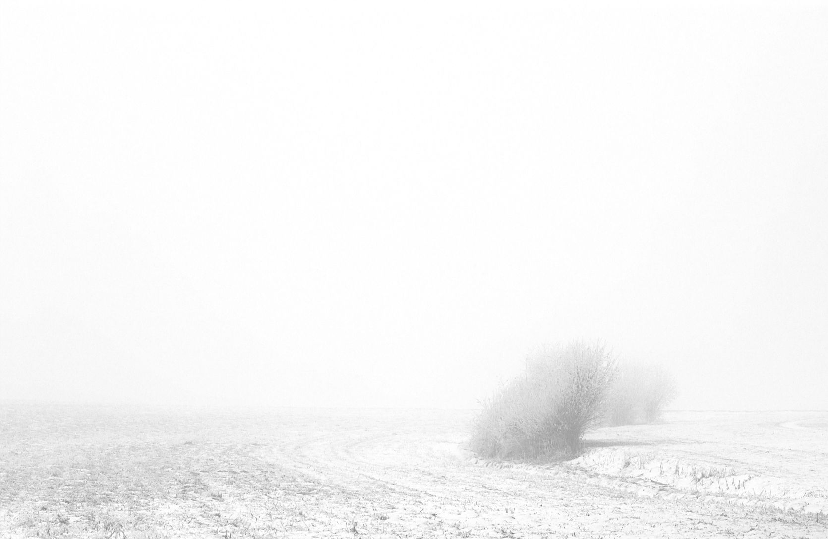 The picture that you took with your camera is the imagination you want to create with reality