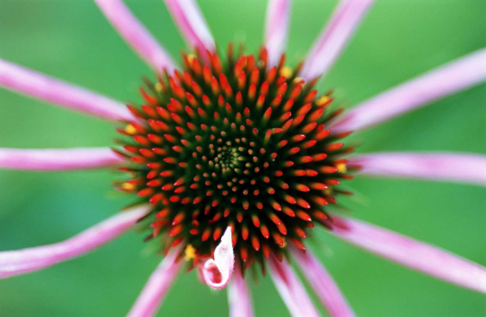 The picture that you took with your camera is the imagination you want to create with reality