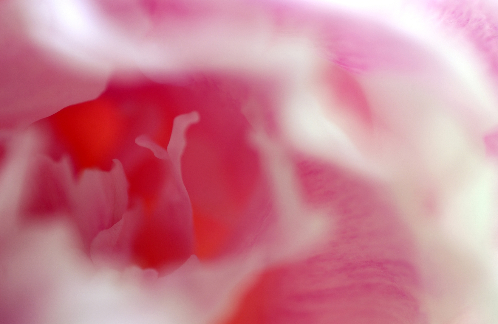 The picture that you took with your camera is the imagination you want to create with reality