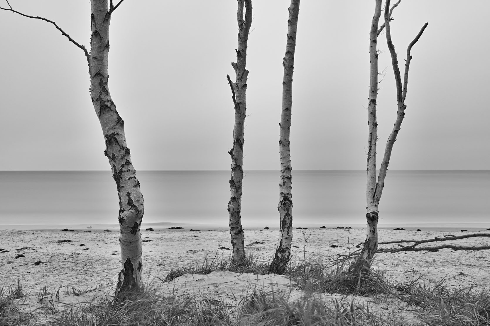 The picture that you took with your camera is the imagination you want to create with reality