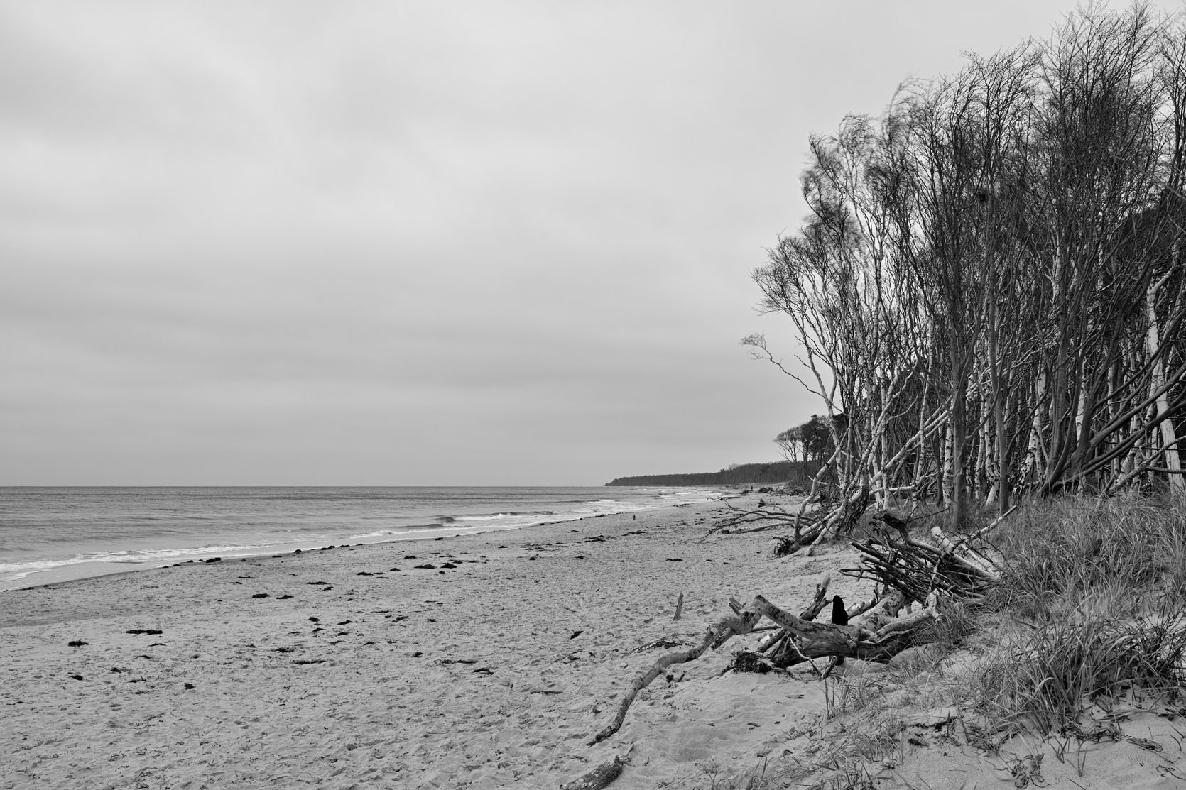 The picture that you took with your camera is the imagination you want to create with reality