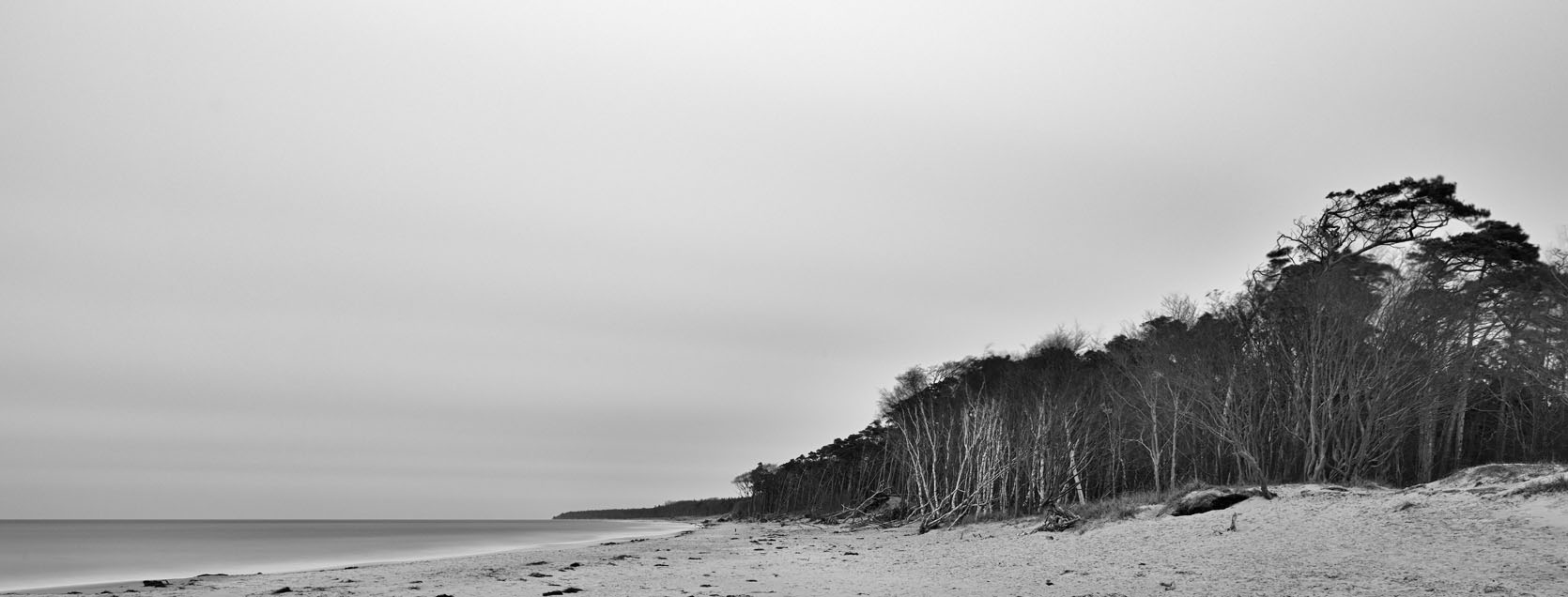 The picture that you took with your camera is the imagination you want to create with reality