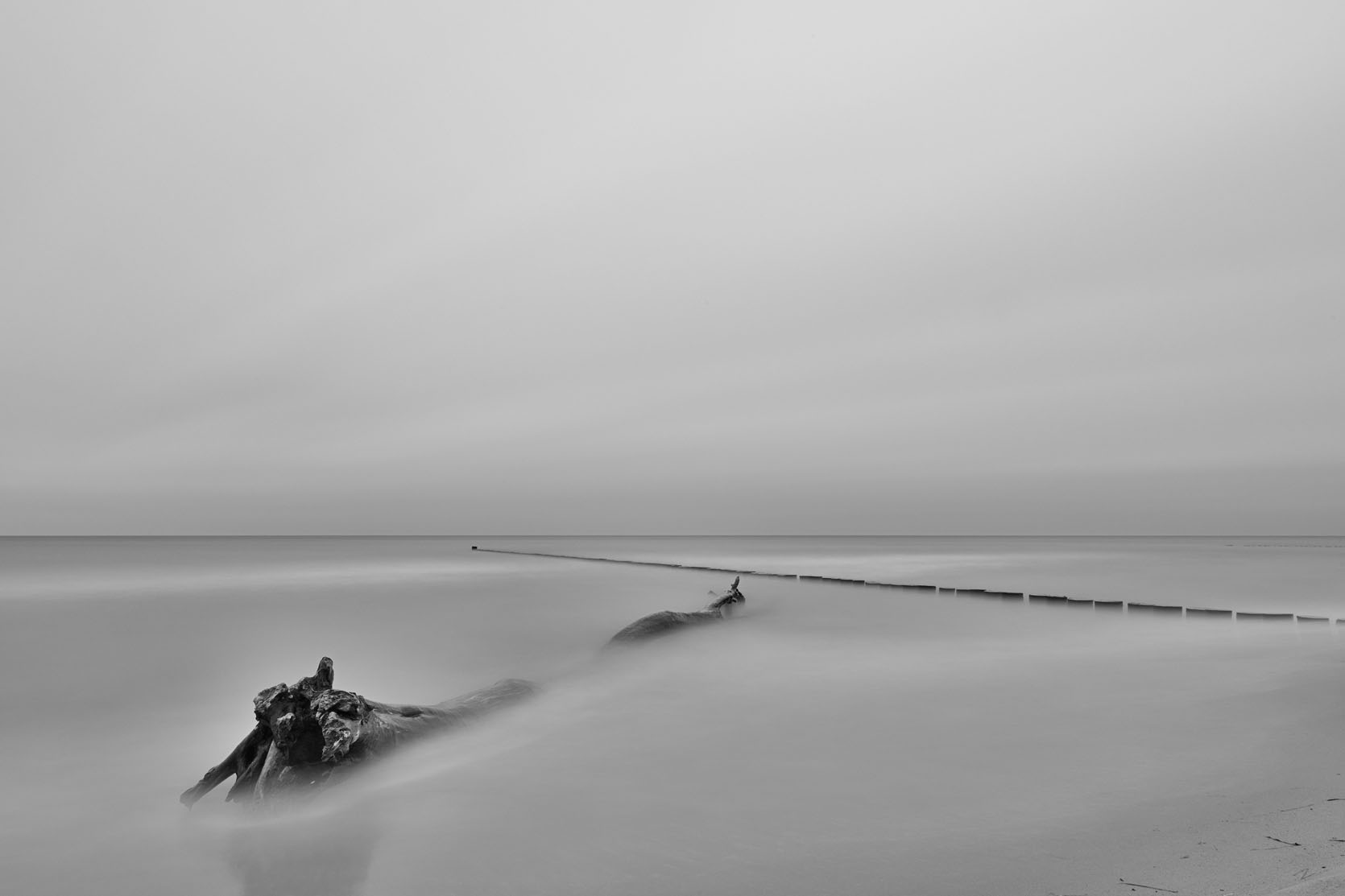 The picture that you took with your camera is the imagination you want to create with reality