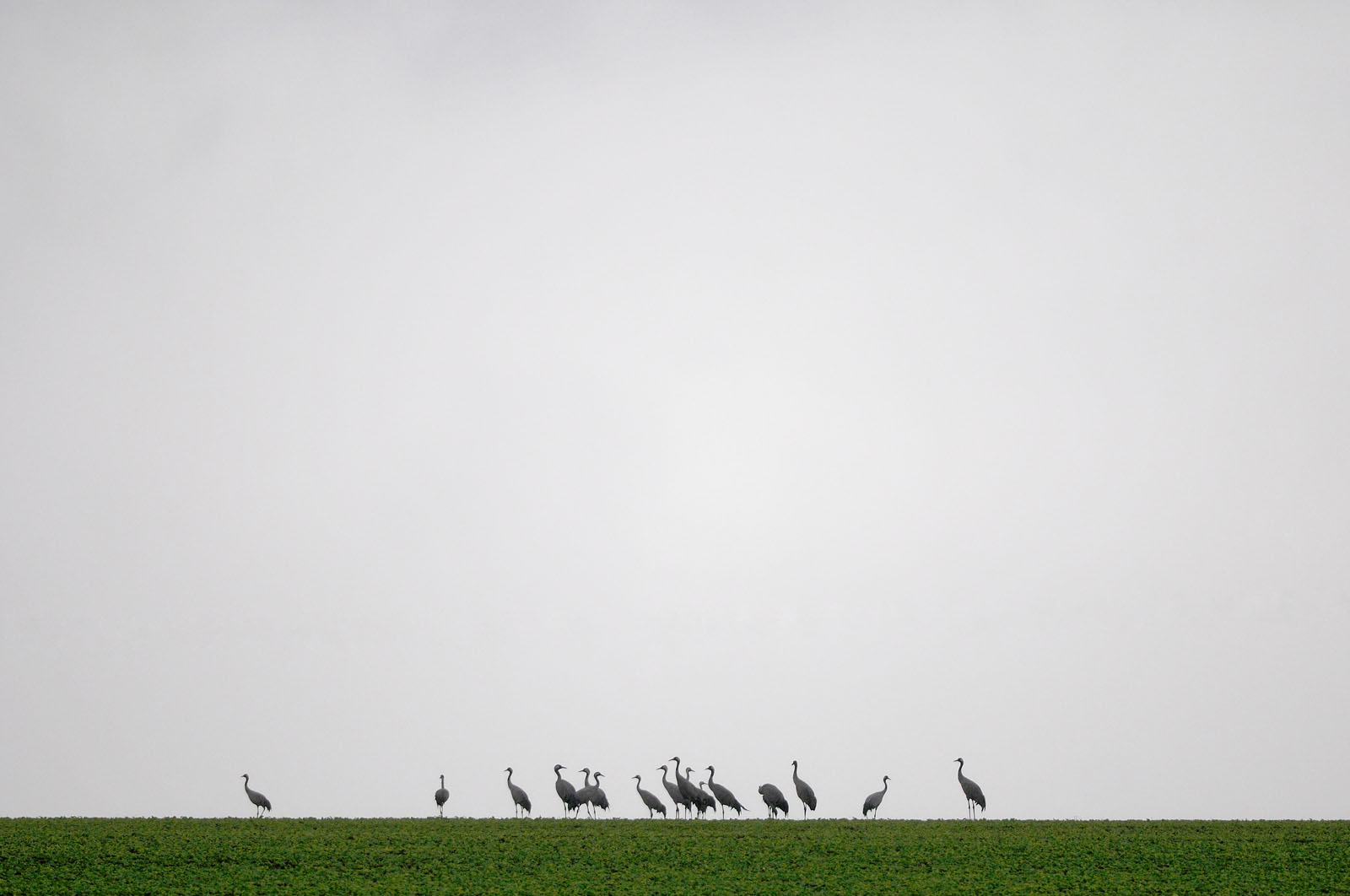 The picture that you took with your camera is the imagination you want to create with reality