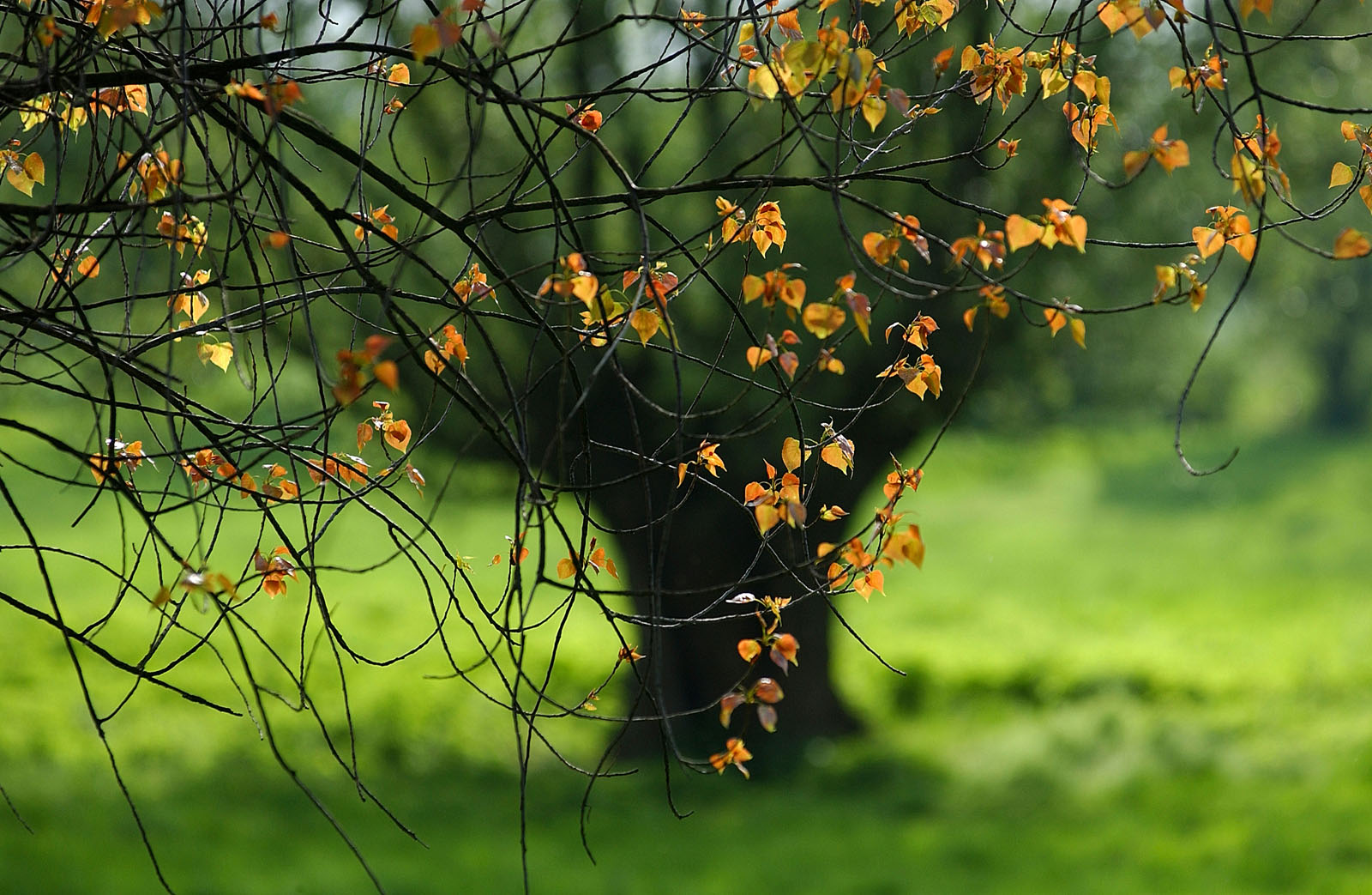 The picture that you took with your camera is the imagination you want to create with reality