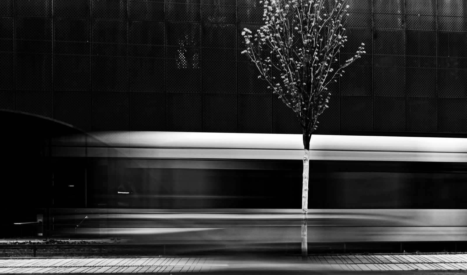 Blog Detail